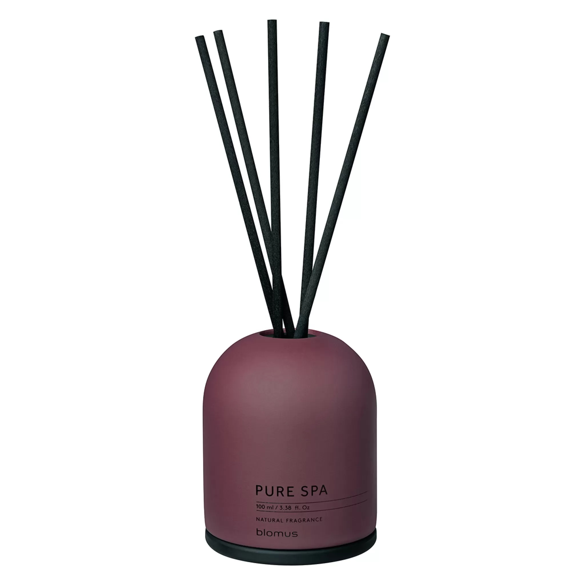 Blomus Fragrances*Fraga Fragrance Sticks Cinnamon & Apple (100 Ml) 66409