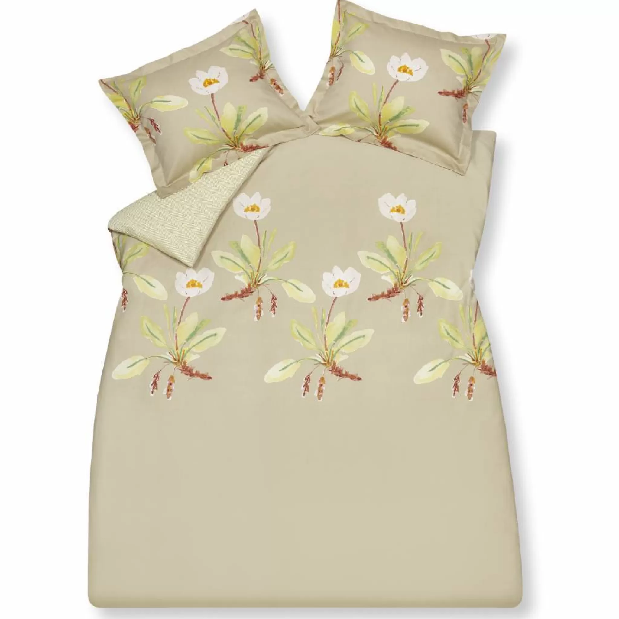 Shop Heirloom Duvet Cover 200X220 Cm (Satin Cotton) Multicolor (Sabb18110) 2 Persons